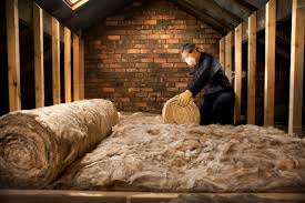 Best Blown-In Insulation  in Lexington, MN